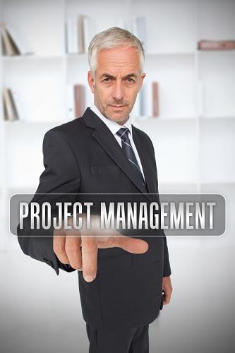 PMBOK® Guide 6th Edition Knowledge Areas for Project Management - Process Groups and Processes - The Complete Guide